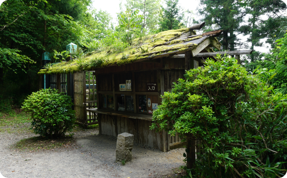 甲賀の里忍術村